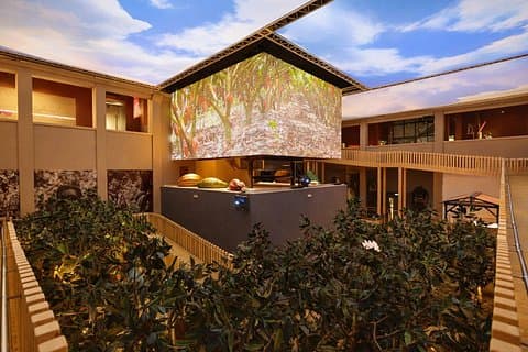 2800sqm of experiential museum