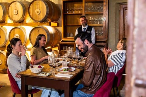 Lunch with Wine Tasting at Poggio ai Laghi Winery
