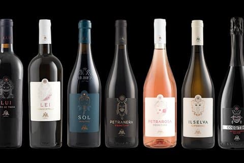 Alberobello : Wine Experience with visit to Winery and Wine Museum