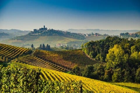 Exclusive Private 3-Day Barolo Wine Experience from Florence
