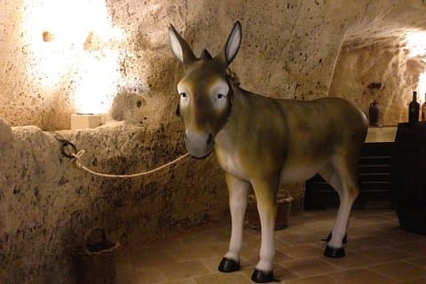Matera : Local Products and Wine Tasting in Caves in the Sassi