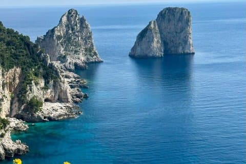 From Sorrento/Nerano: Capri Shared Tour - without pick up