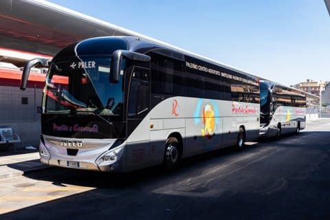 Express Transfer: Palermo Airport to/from Palermo City Center