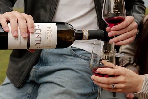 Bellagio: Terrae III Wine Tasting with Pickup & Charcuterie