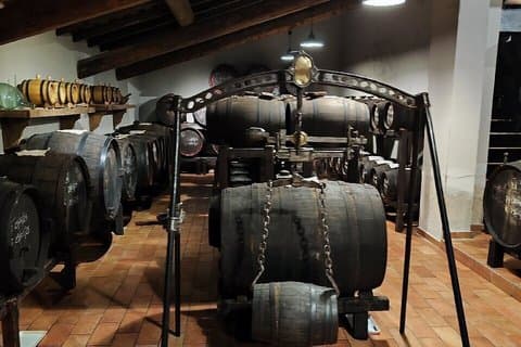 Balsamic Vinegar Cellar Guided tour and tasting in Modena