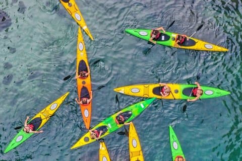 Sorrento Guided Kayak Tour
