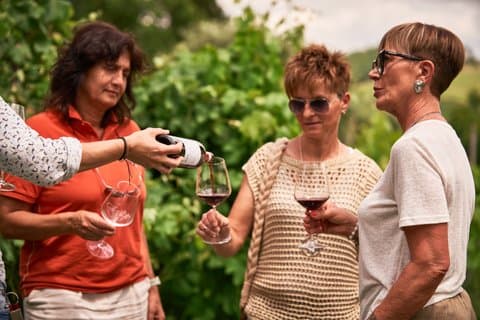 Private Chianti wine tour
