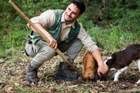 Truffle Trail and a Taste of Tuscany