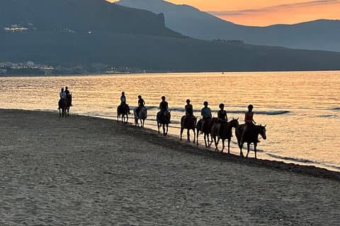 Horseback riding on the beach of Castellammare del Golfo