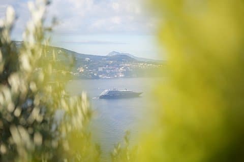 Naples Salerno Terminal Cruise Enjoy Positano and Sorrento
