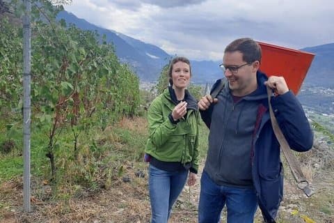 Private Wine Tour: Terraced Vineyards with Alpine view from Milan