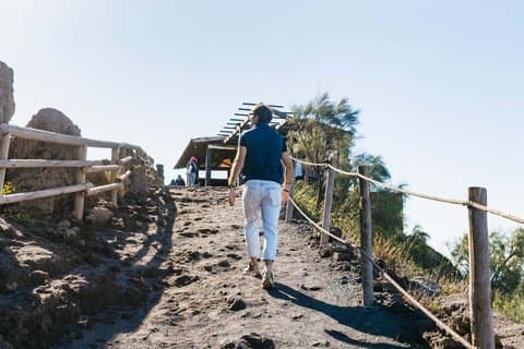 Vesuvius & Herculaneum Small Group Tour from Naples