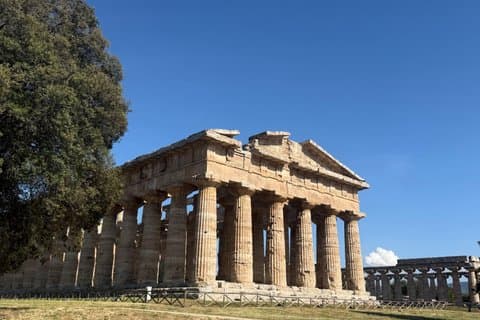 Paestum and its Greek Temples Private Day Tour from Rome