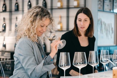 Wine Tasting Experience Between Soave Valpolicella and Lessini Durello