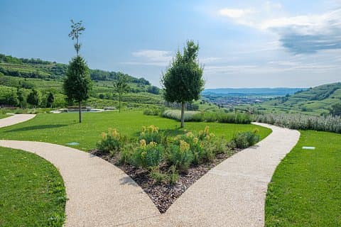 Experience in Nature in the Educational Farm in Soave