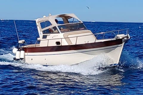 Capri and Amalfi Coast Boat Tour from Sorrento or Positano