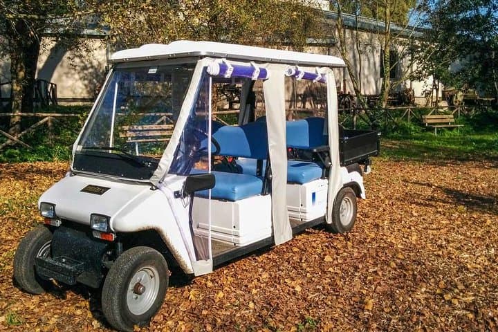 the electric golf cart