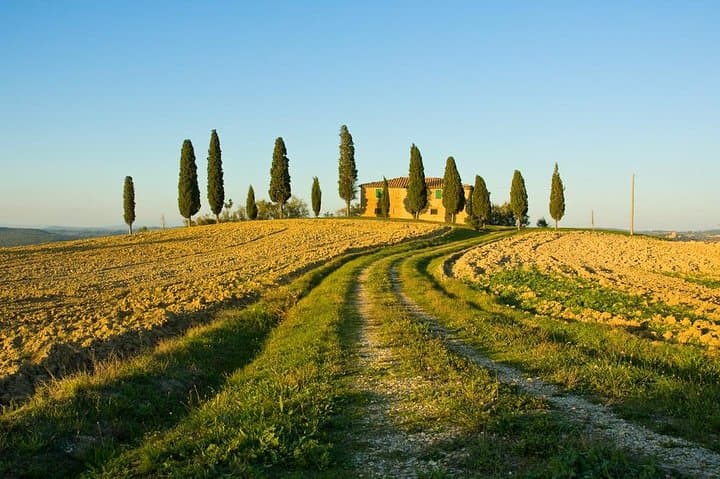 Livorno Shore Excursion: Chianti and Tuscany Countryside Private Wine Tour