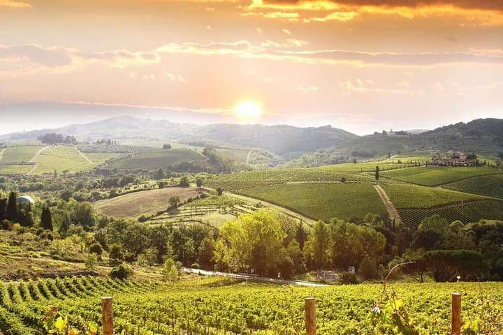 Private Chianti wine tour leaving from Florence