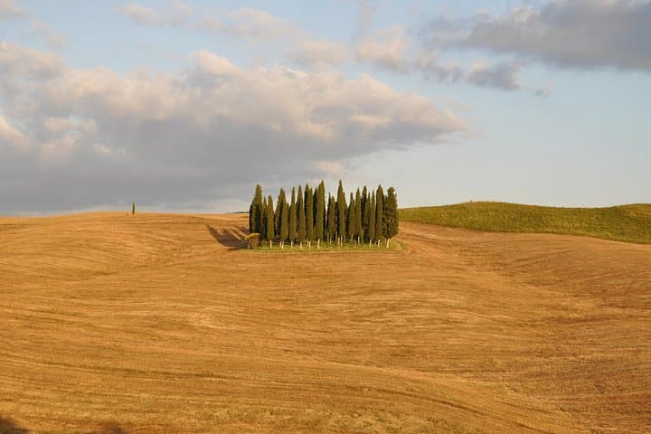 Private Day Trip to Montalcino and Montepulciano from Florence