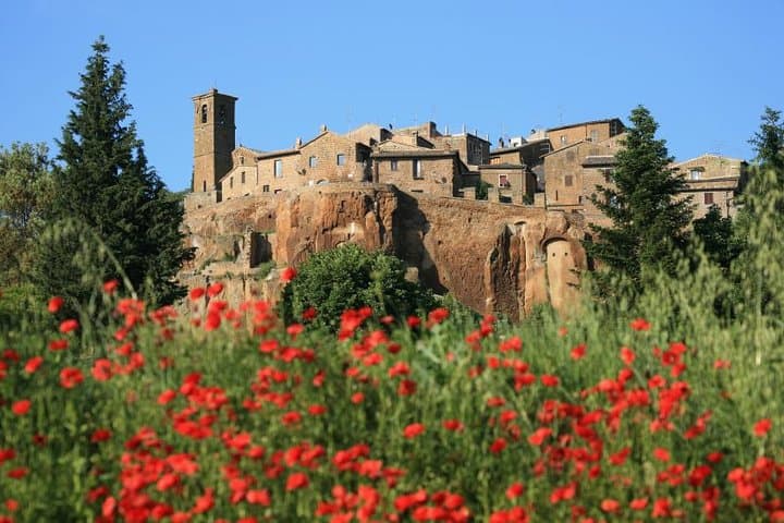Old houses and poppies in Orvieto, Umbria Italy