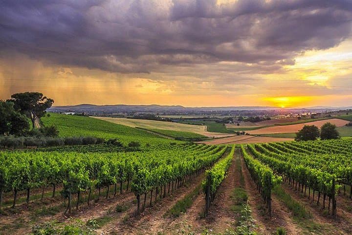 Montalcino