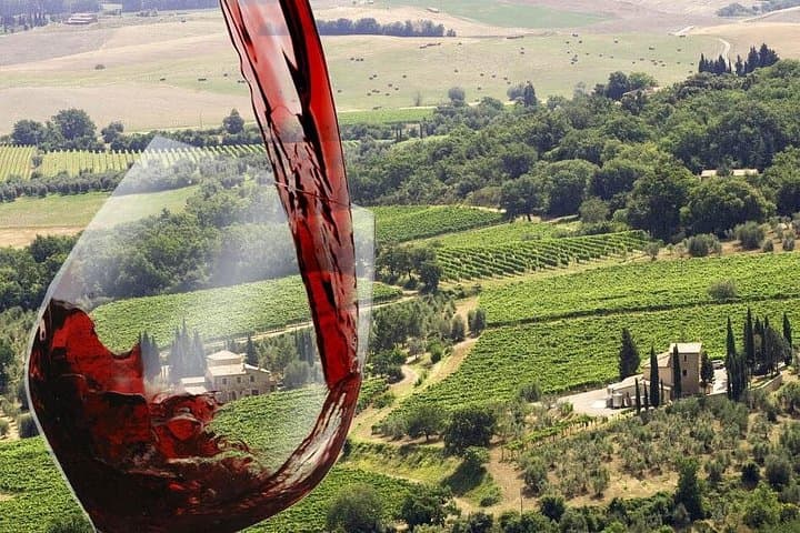 Wine