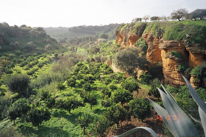 KOLYMBETRA garden
