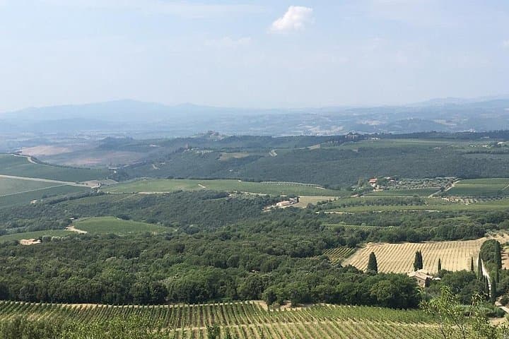 Brunello Bike tour and tasting