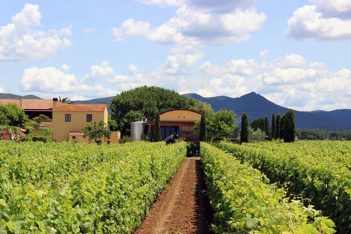 Terre del Marchesato cantina