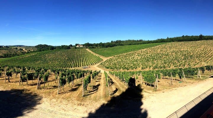 Private Day Trip to Siena and San Gimignano from Rome