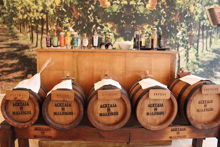 Modena Balsamic Vinegar Tour & Tasting with Monica