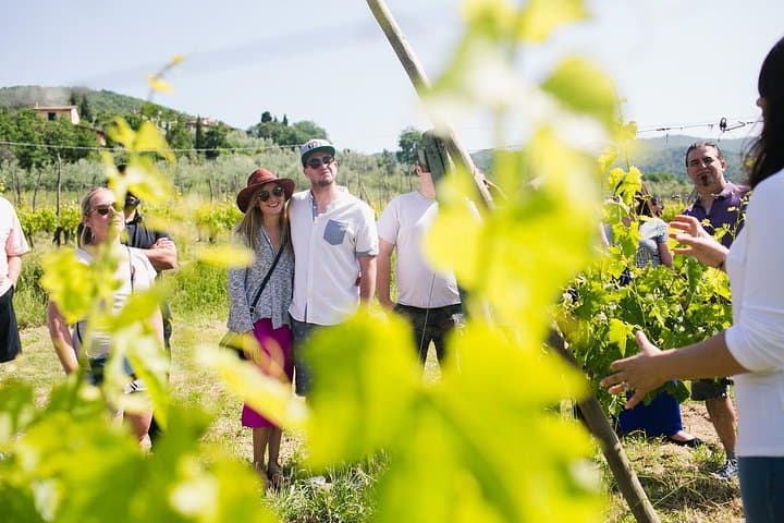 Experience in the vineyard