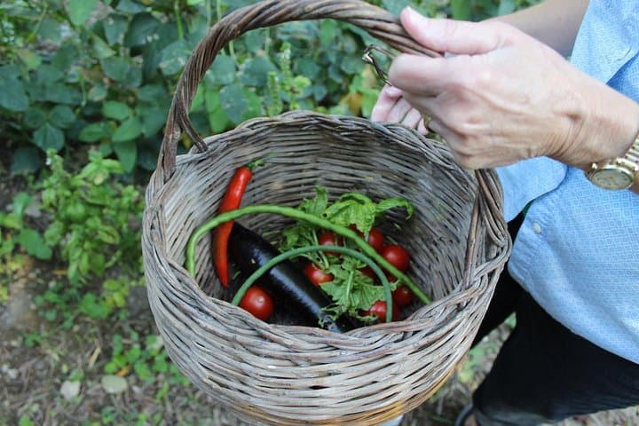 Product of our garden