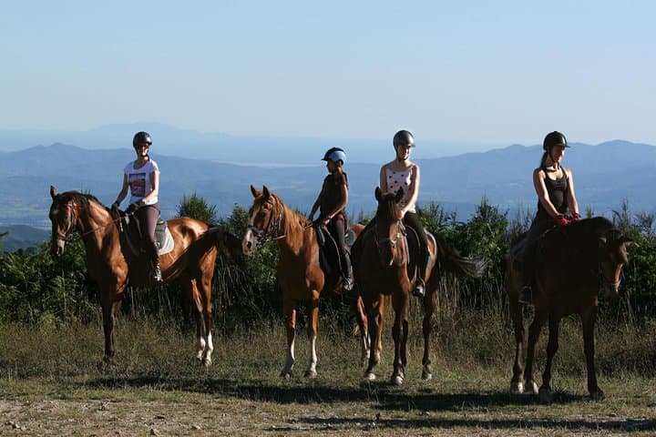 Horse Riding in Tuscany for Experienced or Beginner Riders