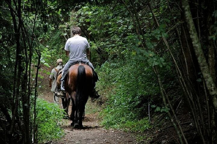 Horse Riding Small Group near Lucca