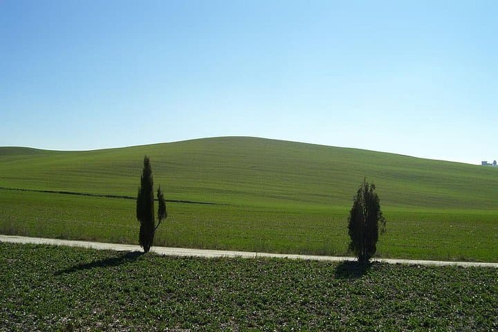 Private Tour to Siena and San Gimignano with Wine Tasting & Lunch
