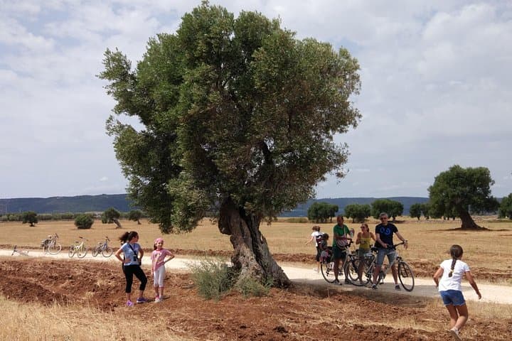 Puglia Bike Tour: Cycling Through the History of Extra Virgin Olive Oil