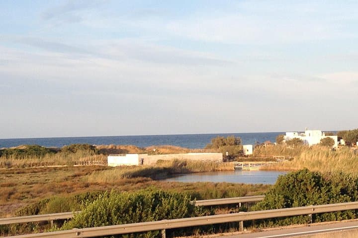 Puglia Bike Tour: Cycling Through the History of Extra Virgin Olive Oil