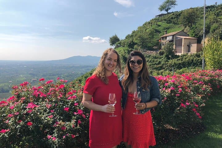 Enjoining fantastic wine tasting