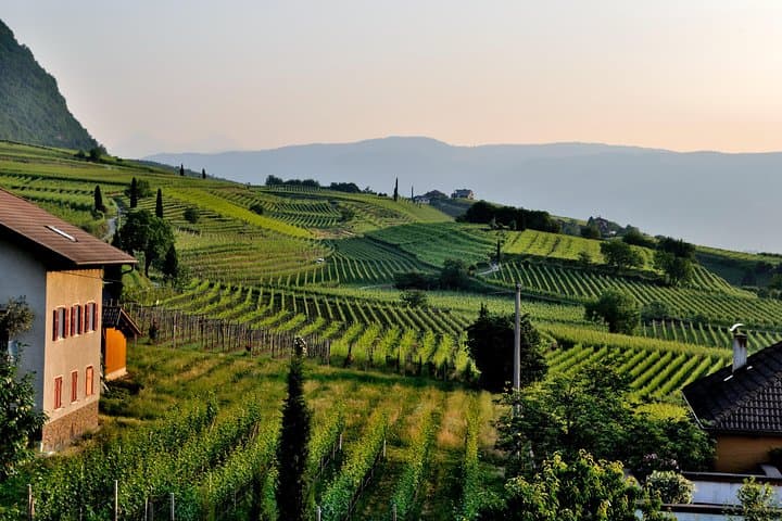 Tuscany Countryside