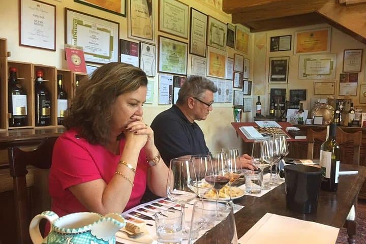 Exclusive Private Tuscany Wine Tour & Food Pairing Session