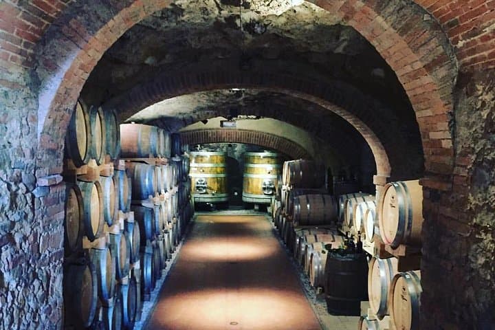 Exclusive Private Tuscany Wine Tour & Food Pairing Session