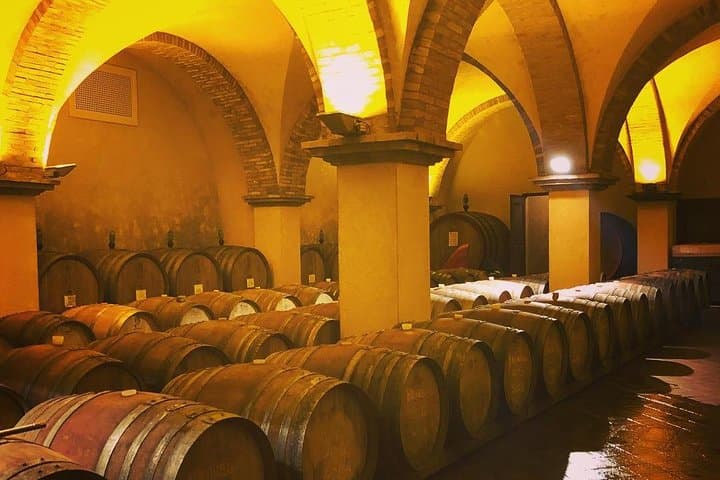 Exclusive Private Tuscany Wine Tour & Food Pairing Session