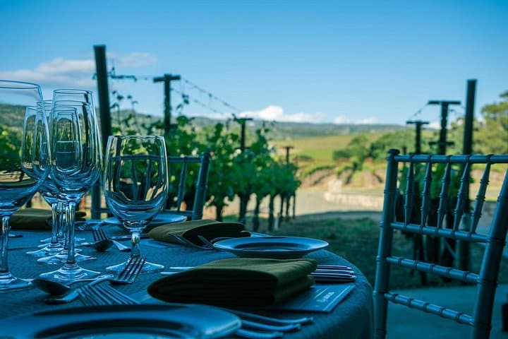 Mount Vesuvius Wine Tasting Experience from Naples or Sorrento