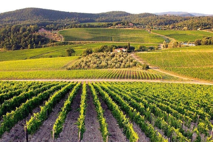 Chianti