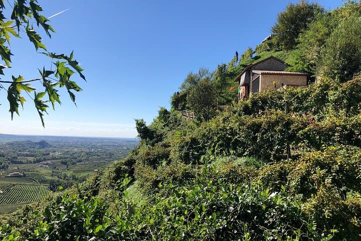 A Sparkling Day in the Prosecco Hills from Venice
