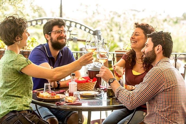 Organic Wine Tasting & Lunch Experience on Mt Vesuvius