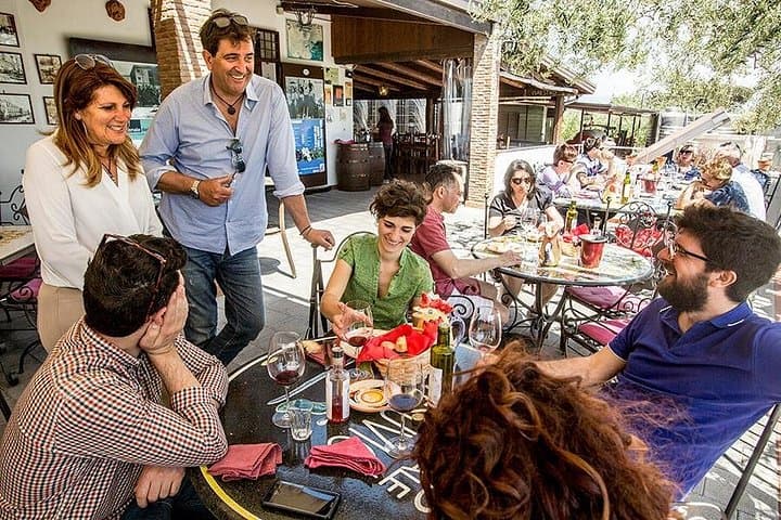 Organic Wine Tasting & Lunch Experience on Mt Vesuvius