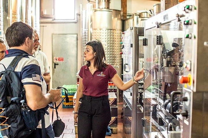 Organic Wine Tasting & Lunch Experience on Mt Vesuvius